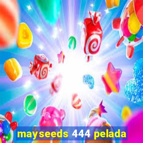 mayseeds 444 pelada