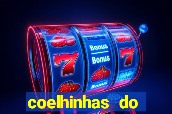 coelhinhas do brasil site