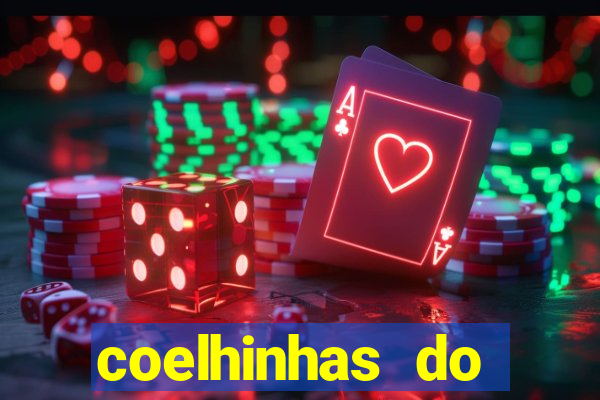 coelhinhas do brasil site
