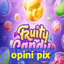 opini pix
