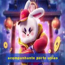 acompanhante porto uniao
