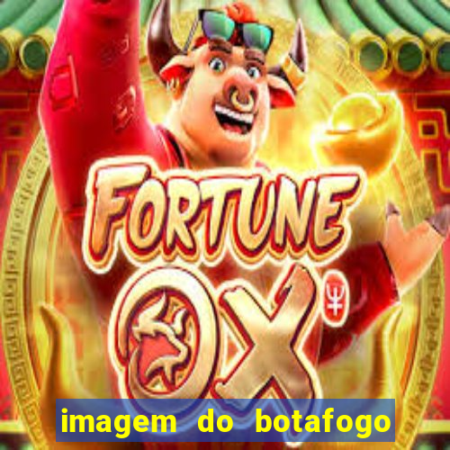 imagem do botafogo zuando o palmeiras