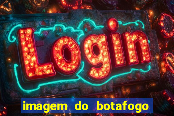 imagem do botafogo zuando o palmeiras