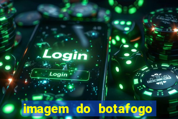 imagem do botafogo zuando o palmeiras