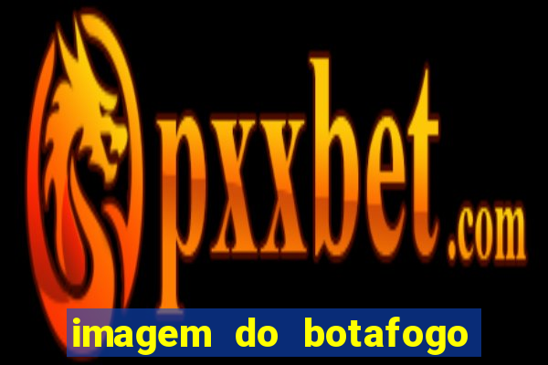 imagem do botafogo zuando o palmeiras