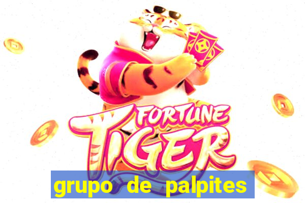 grupo de palpites de futebol whatsapp
