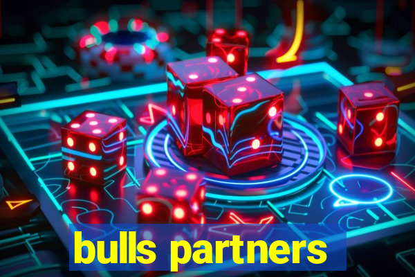 bulls partners