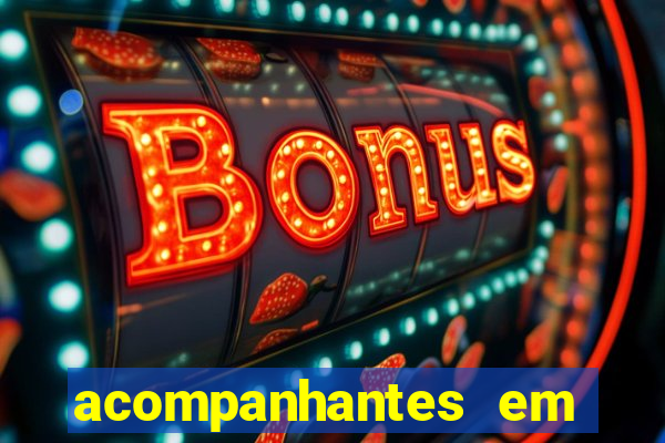acompanhantes em porto seguro