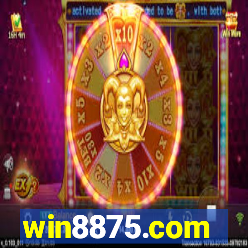 win8875.com