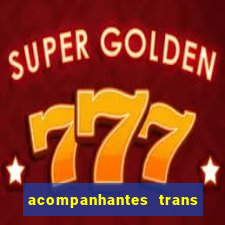 acompanhantes trans porto seguro