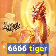 6666 tiger