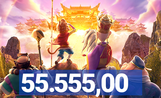 55.555,00
