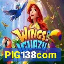 PIG138com