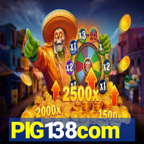 PIG138com