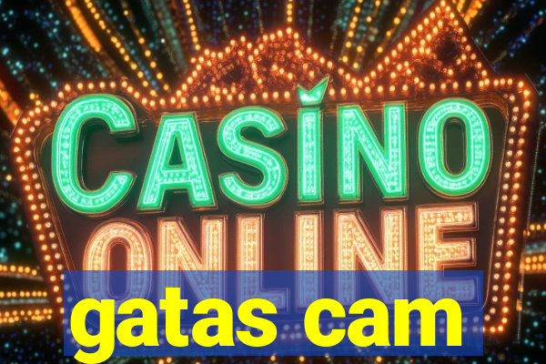 gatas cam