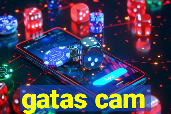 gatas cam