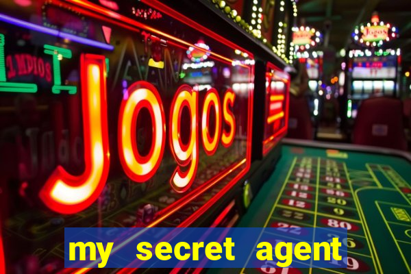 my secret agent husband legendado
