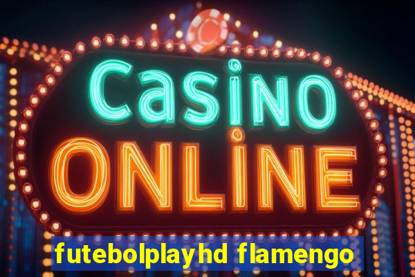 futebolplayhd flamengo