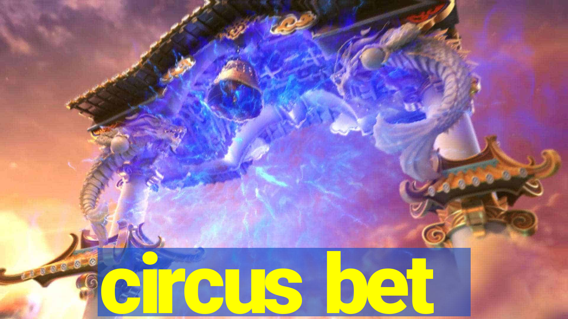 circus bet