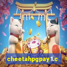 cheetahpgpay1.com