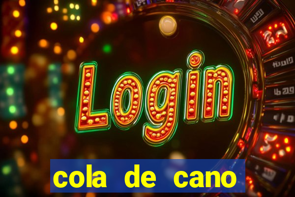 cola de cano quanto tempo para secar