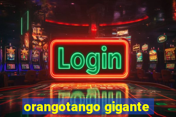 orangotango gigante