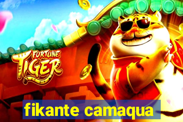 fikante camaqua