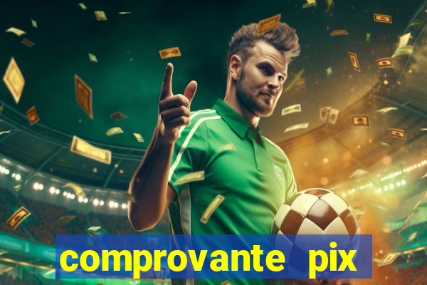comprovante pix fake meme