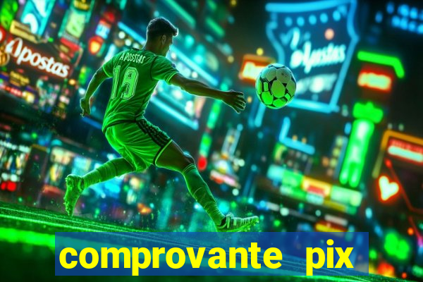 comprovante pix fake meme