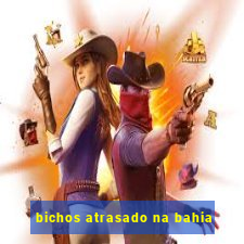 bichos atrasado na bahia