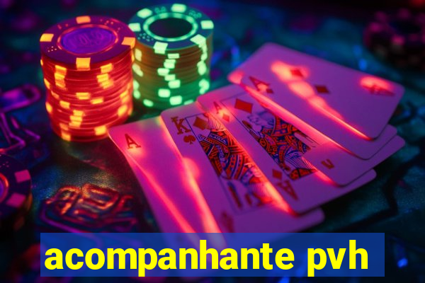 acompanhante pvh