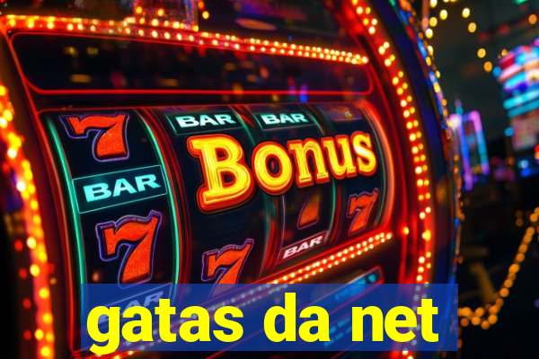 gatas da net