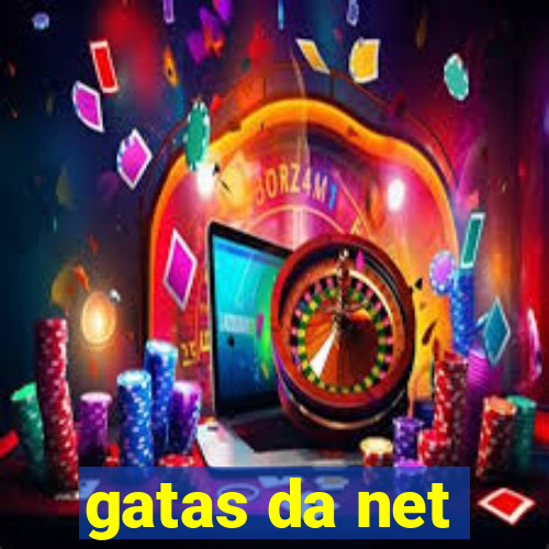 gatas da net