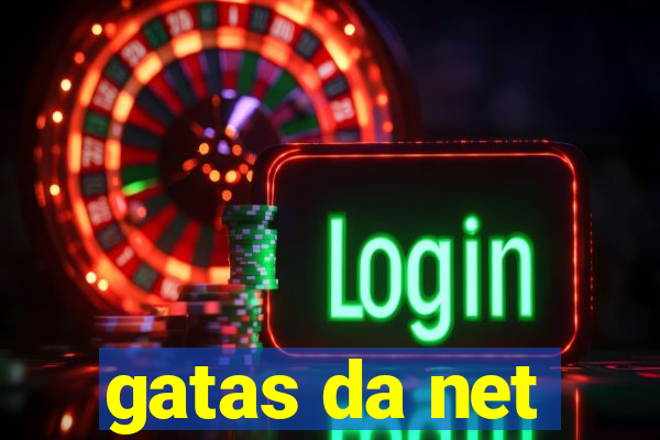 gatas da net