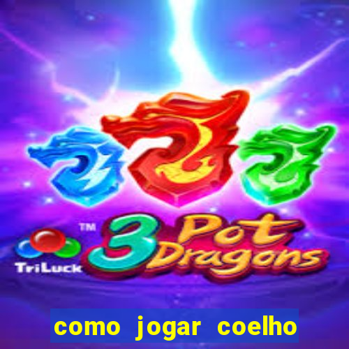 como jogar coelho da fortuna