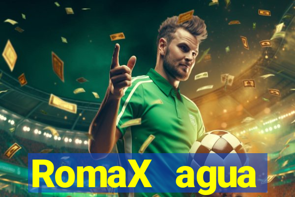 RomaX agua sanitaria fispq agua sanitaria romax