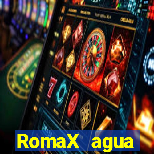 RomaX agua sanitaria fispq agua sanitaria romax
