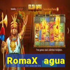 RomaX agua sanitaria fispq agua sanitaria romax