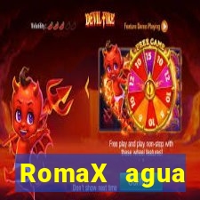 RomaX agua sanitaria fispq agua sanitaria romax