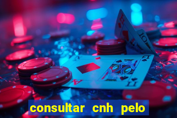 consultar cnh pelo cpf sp