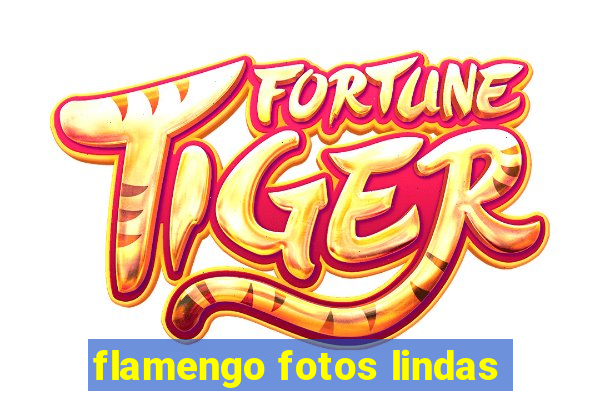 flamengo fotos lindas