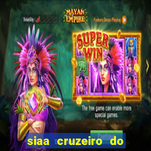 siaa cruzeiro do sul aluno