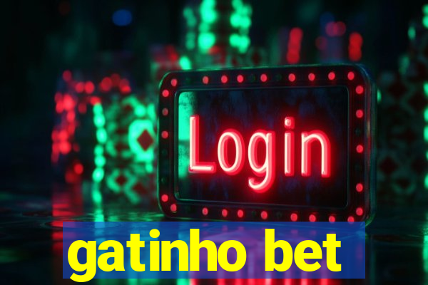 gatinho bet