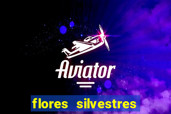 flores silvestres desbravadores desbravadores 25 flores silvestres e seus nomes