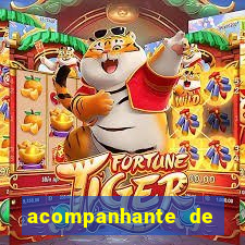acompanhante de porto feliz