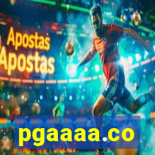 pgaaaa.co