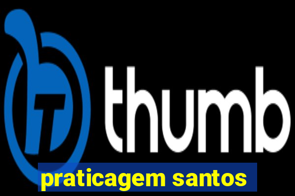 praticagem santos