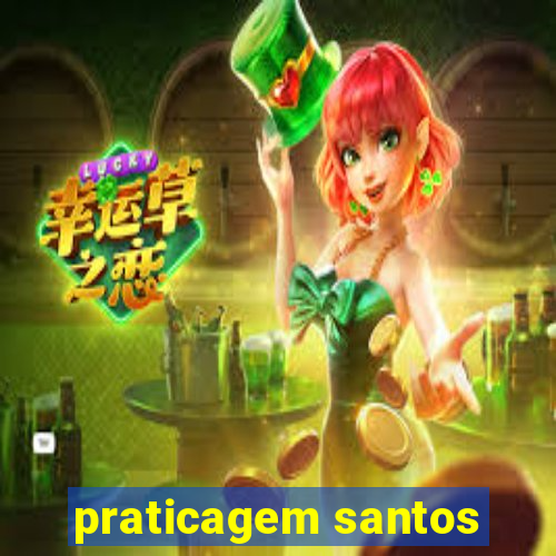 praticagem santos
