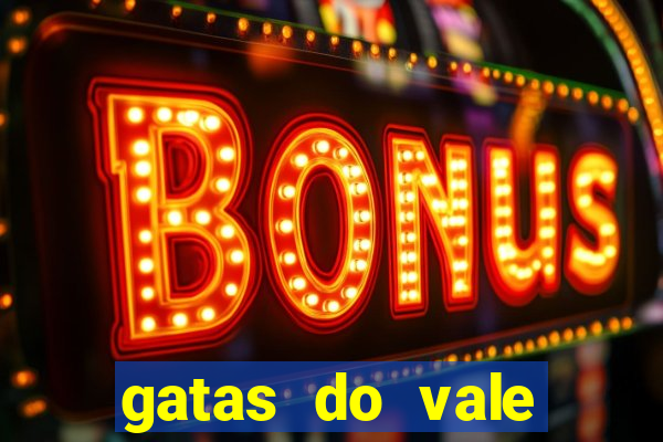 gatas do vale juazeiro ba