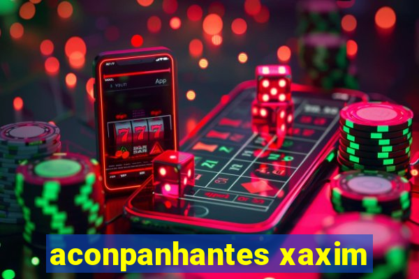 aconpanhantes xaxim